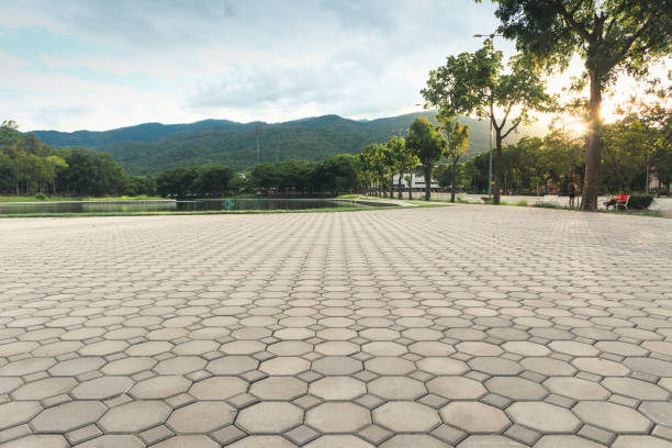 Best Best Driveway Pavers  in Umatilla, FL